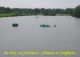 2007 05 06 Draveil078 .jpg